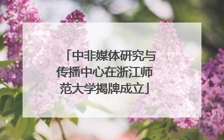 中非媒体研究与传播中心在浙江师范大学揭牌成立