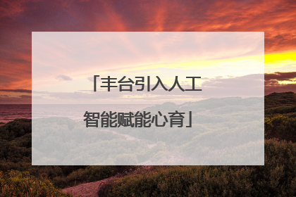 丰台引入人工智能赋能心育