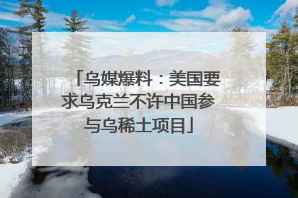 乌媒爆料：美国要求乌克兰不许中国参与乌稀土项目