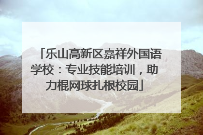 乐山高新区嘉祥外国语学校：专业技能培训，助力棍网球扎根校园