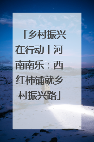 乡村振兴在行动丨河南南乐：西红柿铺就乡村振兴路