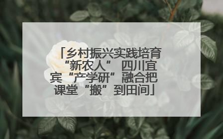 乡村振兴实践培育“新农人” 四川宜宾“产学研”融合把课堂“搬”到田间