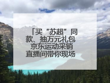 买“苏超”同款、抽万元礼包 京东运动采销直播间带你现场沉浸式看球赛