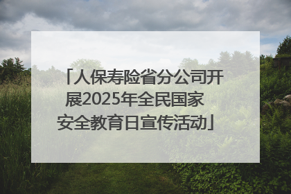 人保寿险省分公司开展2025年全民国家安全教育日宣传活动