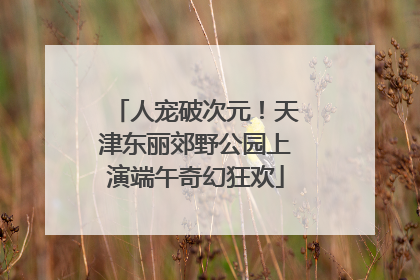 人宠破次元！天津东丽郊野公园上演端午奇幻狂欢