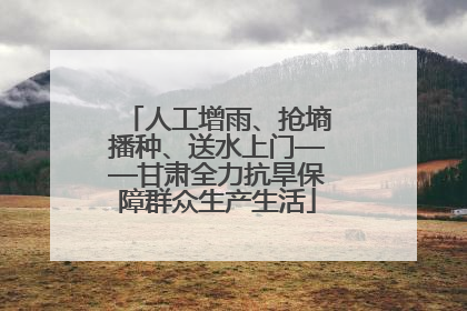 人工增雨、抢墒播种、送水上门——甘肃全力抗旱保障群众生产生活
