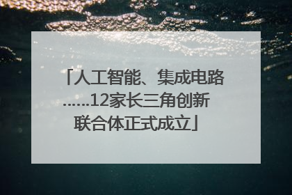 人工智能、集成电路……12家长三角创新联合体正式成立