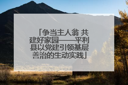 争当主人翁 共建好家园——平利县以党建引领基层善治的生动实践