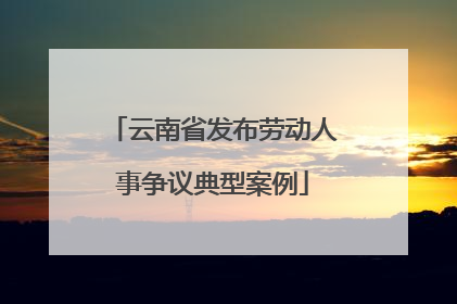 云南省发布劳动人事争议典型案例