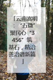 云南嵩明：“五微”聚民心“3456”筑基石，精治善治谱新篇