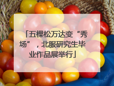 五棵松万达变“秀场”，北服研究生毕业作品展举行