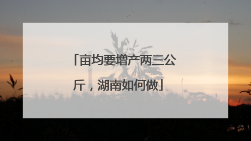 亩均要增产两三公斤，湖南如何做