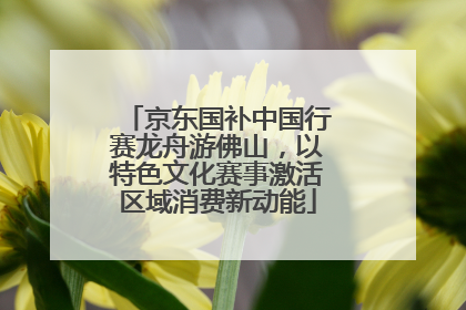 京东国补中国行赛龙舟游佛山，以特色文化赛事激活区域消费新动能