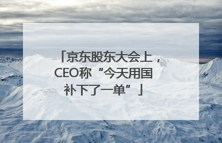 京东股东大会上，CEO称“今天用国补下了一单”