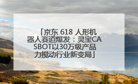 京东 618 人形机器人赛道爆发：灵宝CASBOT以30万级产品力搅动行业新变局