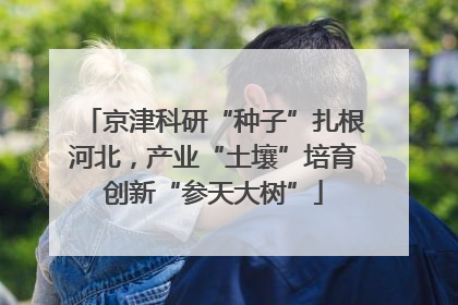 京津科研“种子”扎根河北，产业“土壤”培育创新“参天大树”