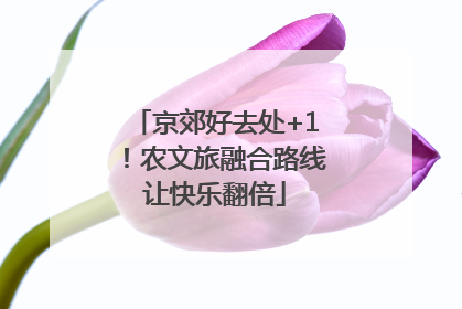 京郊好去处+1！农文旅融合路线让快乐翻倍