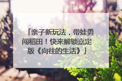 亲子新玩法，带娃勇闯稻田！快来解锁嘉定版《向往的生活》