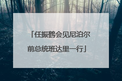 任振鹤会见尼泊尔前总统班达里一行