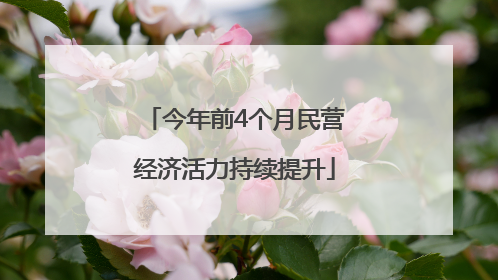 今年前4个月民营经济活力持续提升