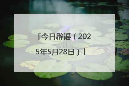 今日辟谣（2025年5月28日）