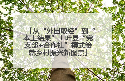 从“外出取经”到“本土结果”！叶县“党支部+合作社”模式绘就乡村振兴新图景