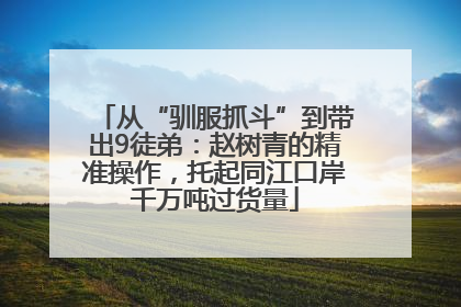 从“驯服抓斗”到带出9徒弟：赵树青的精准操作，托起同江口岸千万吨过货量