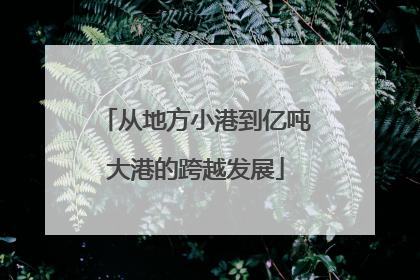 从地方小港到亿吨大港的跨越发展
