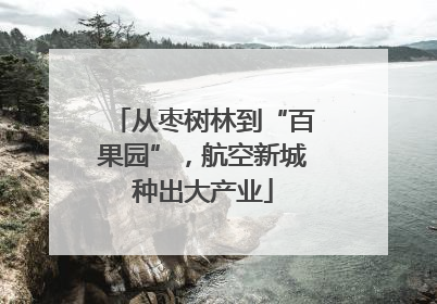 从枣树林到“百果园”，航空新城种出大产业