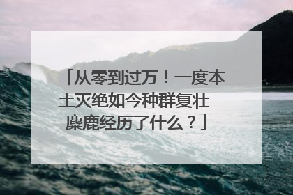 从零到过万！一度本土灭绝如今种群复壮 麋鹿经历了什么？