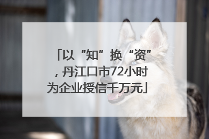以“知”换“资”，丹江口市72小时为企业授信千万元