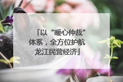 以“暖心仲裁”体系，全方位护航龙江民营经济