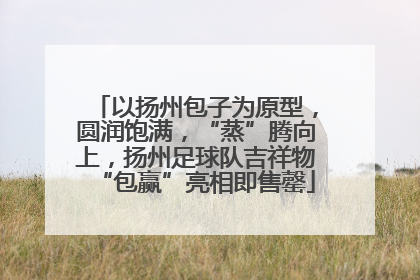 以扬州包子为原型，圆润饱满，“蒸”腾向上，扬州足球队吉祥物“包赢”亮相即售罄