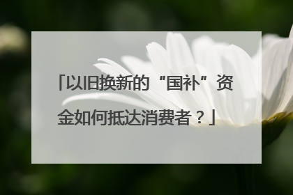 以旧换新的“国补”资金如何抵达消费者？