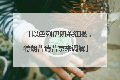 以色列伊朗杀红眼，特朗普请普京来调解