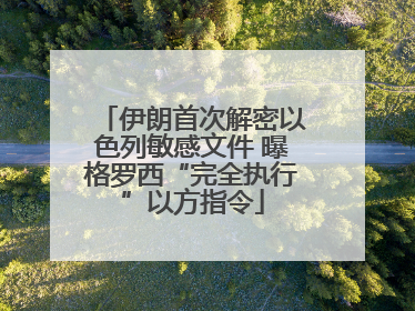 伊朗首次解密以色列敏感文件 曝格罗西“完全执行”以方指令