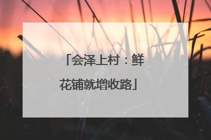 会泽上村：鲜花铺就增收路
