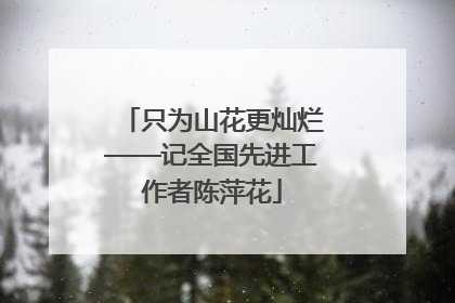 只为山花更灿烂——记全国先进工作者陈萍花