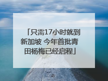 只需17小时就到新加坡 今年首批青田杨梅已经启程