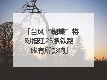 台风“蝴蝶”将对福建23条铁路线有所影响
