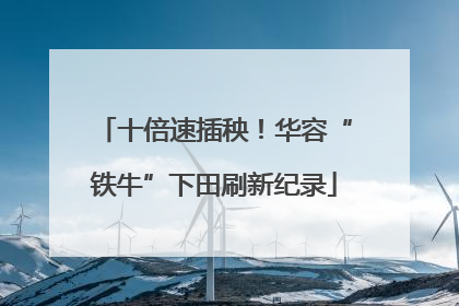 十倍速插秧！华容“铁牛”下田刷新纪录