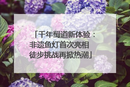 千年蜀道新体验：非遗鱼灯首次亮相 徒步挑战再掀热潮