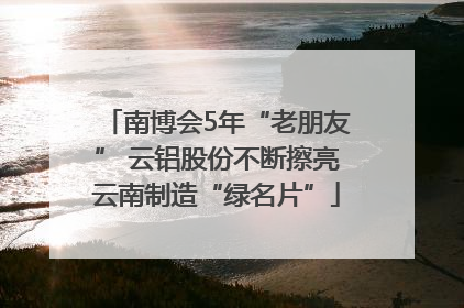南博会5年“老朋友” 云铝股份不断擦亮云南制造“绿名片”
