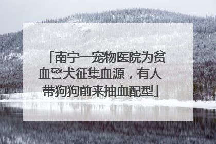 南宁一宠物医院为贫血警犬征集血源，有人带狗狗前来抽血配型