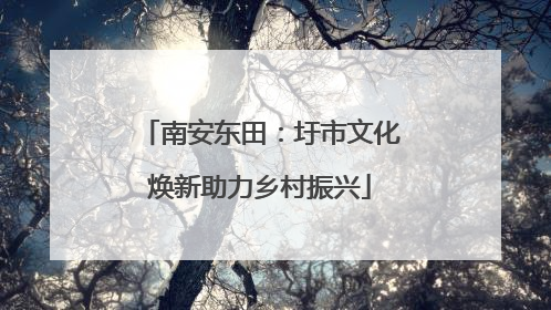 南安东田：圩市文化焕新助力乡村振兴