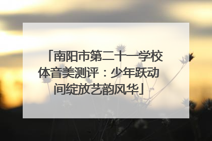 南阳市第二十一学校体音美测评：少年跃动间绽放艺韵风华
