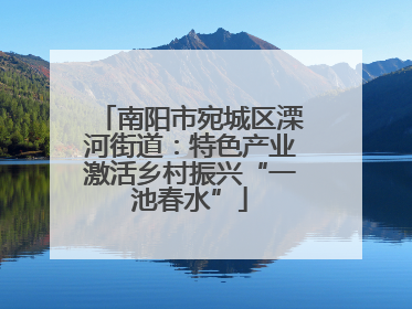 南阳市宛城区溧河街道：特色产业激活乡村振兴“一池春水”