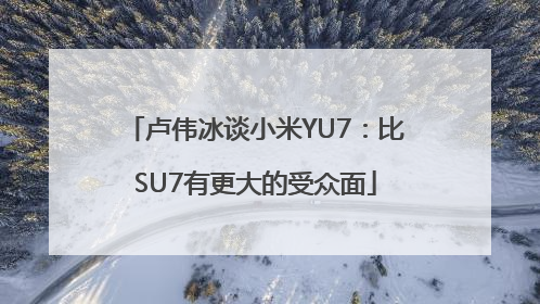 卢伟冰谈小米YU7：比SU7有更大的受众面