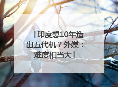 印度想10年造出五代机？外媒：难度相当大