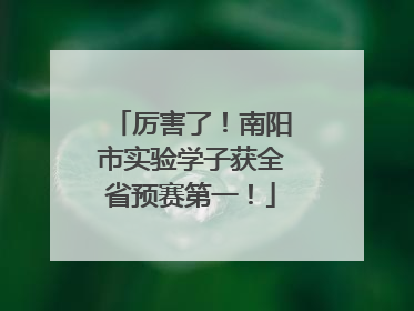 厉害了！南阳市实验学子获全省预赛第一！